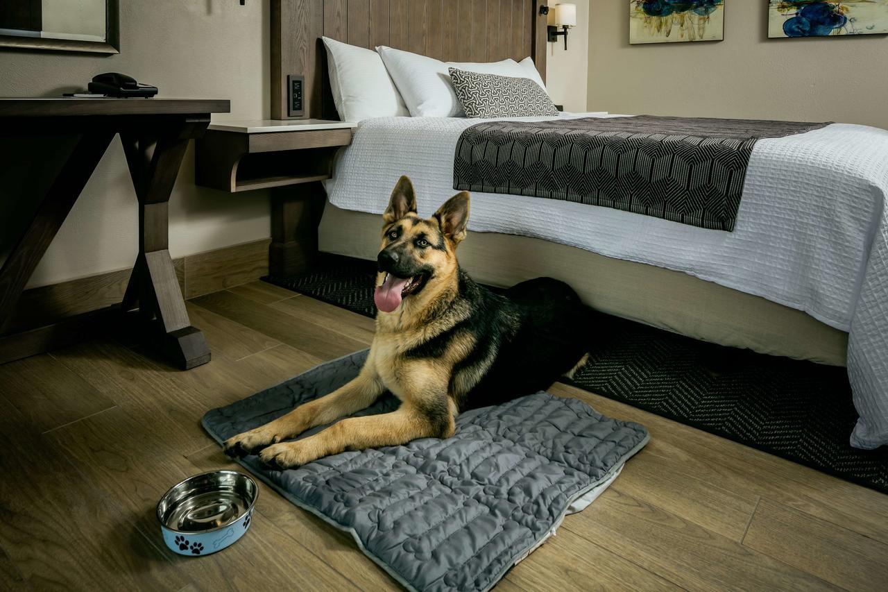 Beachfront Inn Брукингс Экстерьер фото